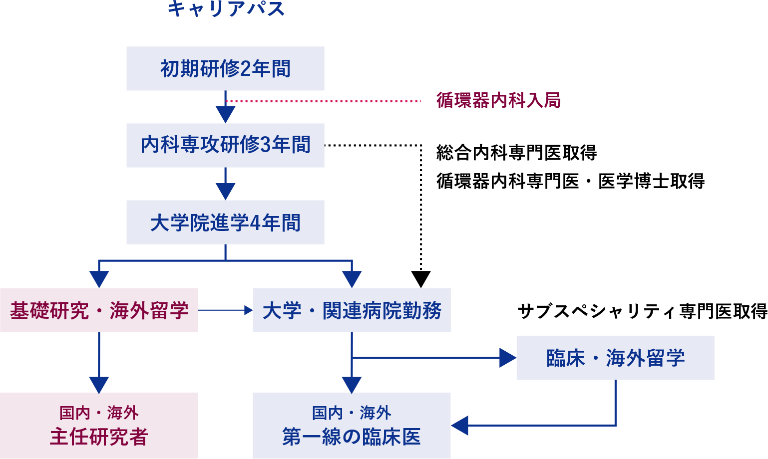 キャリアパスのフローダイアグラムを示す画像。各ステップが視覚的に整理されています。